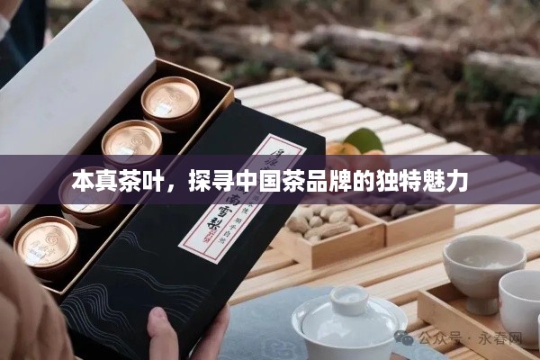 本真茶叶，探寻中国茶品牌的独特魅力