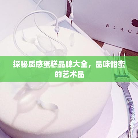 探秘质感蛋糕品牌大全，品味甜蜜的艺术品