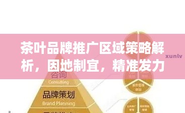 茶叶品牌推广区域策略解析，因地制宜，精准发力