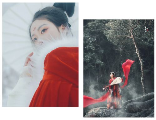 玉真公主同款汉服，穿越时空的美丽传承