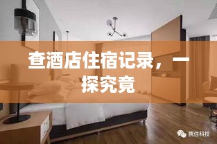 查酒店住宿记录，一探究竟