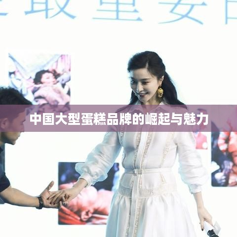 中国大型蛋糕品牌的崛起与魅力