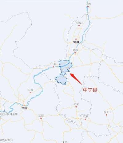 中宁龙井—探寻宁夏的茶香传奇