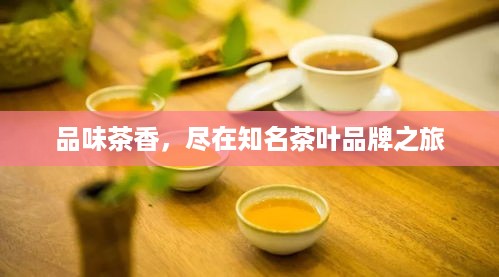 品味茶香，尽在知名茶叶品牌之旅