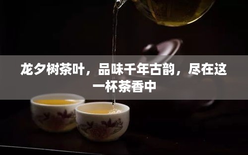 龙夕树茶叶，品味千年古韵，尽在这一杯茶香中