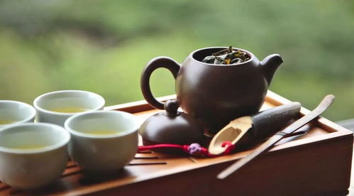 龙夕树茶叶，品味千年古韵，尽在这一杯茶香中
