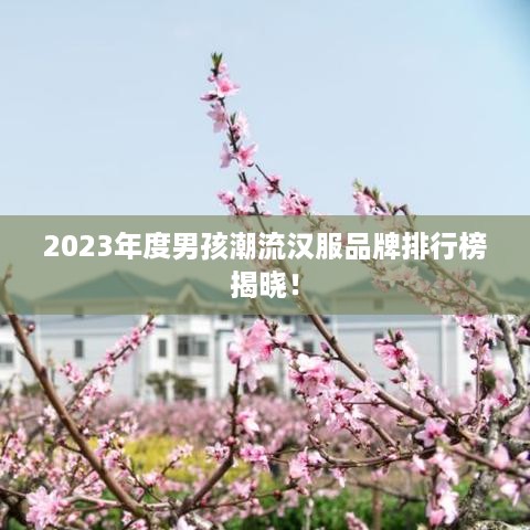 2023年度男孩潮流汉服品牌排行榜揭晓！