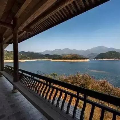 丽水品牌茶叶，品味自然，传承千年茶香
