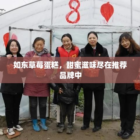 如东草莓蛋糕，甜蜜滋味尽在推荐品牌中