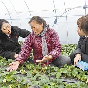 如东草莓蛋糕，甜蜜滋味尽在推荐品牌中