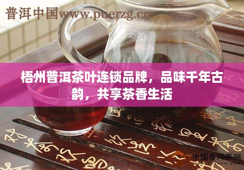 梧州普洱茶叶连锁品牌，品味千年古韵，共享茶香生活