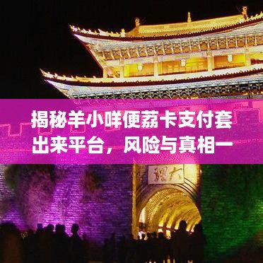 揭秘羊小咩便荔卡支付套出来平台，风险与真相一探究竟