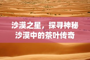 沙漠之星，探寻神秘沙漠中的茶叶传奇