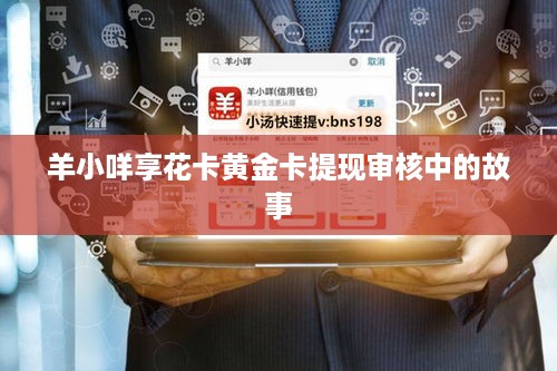 羊小咩享花卡黄金卡提现审核中的故事