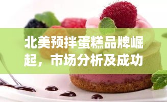 北美预拌蛋糕品牌崛起，市场分析及成功案例解析