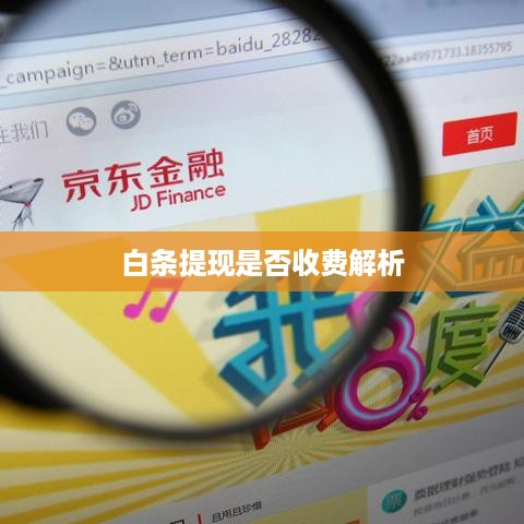 白条提现是否收费解析