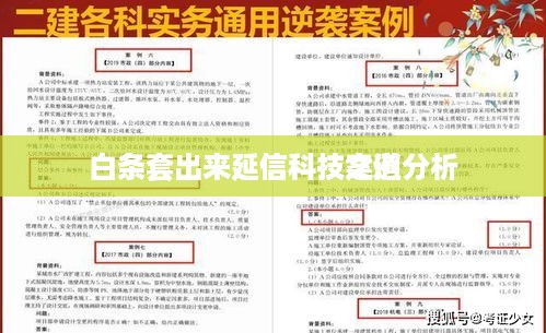 白条套出来延信科技案例分析
白条套出来延信科技之道