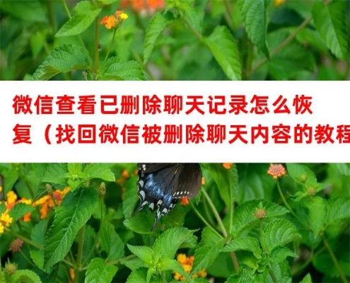 如何查询微信聊天记录，恢复删除的微信聊天记录？