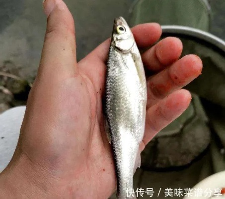 白条变相套出技巧大全