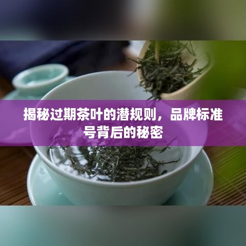 揭秘过期茶叶的潜规则，品牌标准号背后的秘密