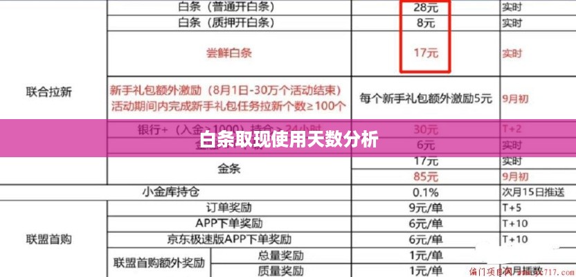 白条取现使用天数分析
