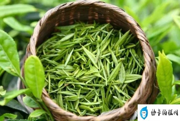浙北茶叶品牌大盘点，品味江南水乡的茶香韵味