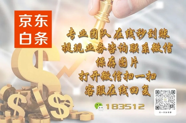 白条套出来程序揭秘
白条套出来程序揭秘
