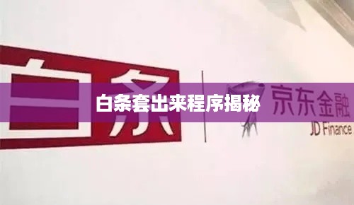 白条套出来程序揭秘
白条套出来程序揭秘