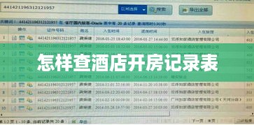 怎样查酒店开房记录表