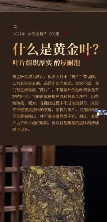 揭秘圆形金色茶叶之谜，探寻神秘品牌金圆茶