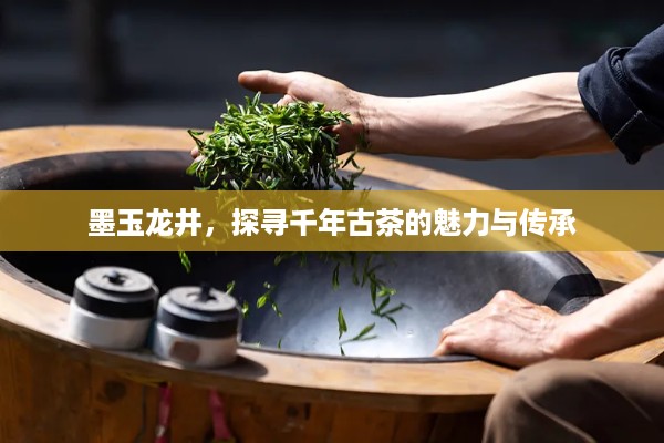 墨玉龙井，探寻千年古茶的魅力与传承