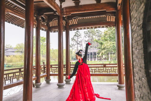 探寻汉服界的鲤跃龙门—盘点那些以鲤鱼为灵感的汉服品牌