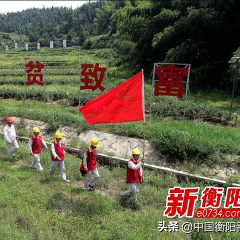 常宁茶叶品牌大盘点，这些名字你听过吗？
