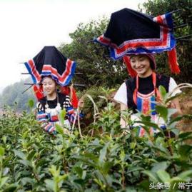 常宁茶叶品牌大盘点，这些名字你听过吗？