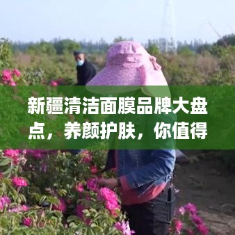 新疆清洁面膜品牌大盘点，养颜护肤，你值得拥有！