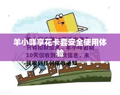 羊小咩享花卡套安全使用体验