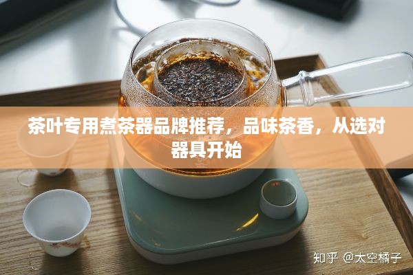 茶叶专用煮茶器品牌推荐，品味茶香，从选对器具开始