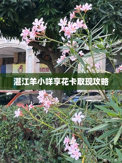 湛江羊小咩享花卡取现攻略