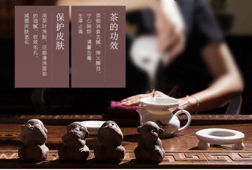 祥源茶叶，传承匠心，品味非凡—揭秘祥源茶叶的品牌优势