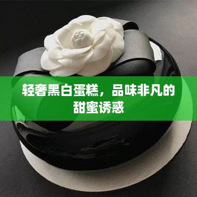 轻奢黑白蛋糕，品味非凡的甜蜜诱惑
