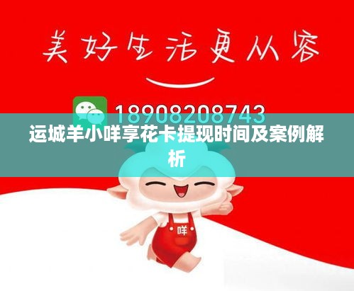 运城羊小咩享花卡提现时间及案例解析