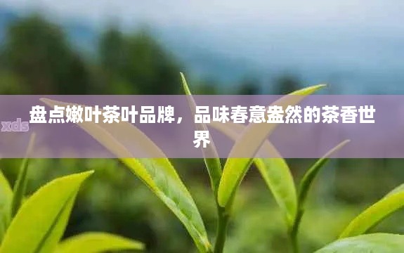 盘点嫩叶茶叶品牌，品味春意盎然的茶香世界