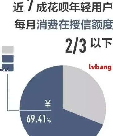 白条借呗提现利率揭秘，高收益背后的隐形成本