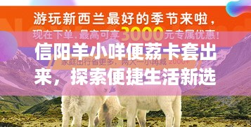 信阳羊小咩便荔卡套出来，探索便捷生活新选择