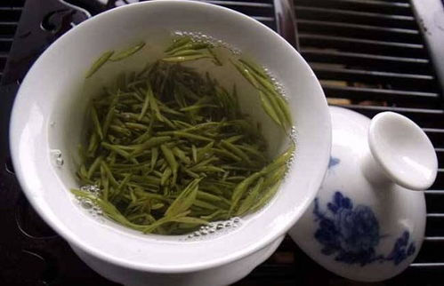 揭秘鼎湖毛尖，广东茶界的瑰宝与品鉴指南