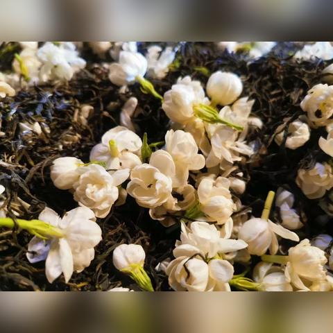 福州茶叶品牌，品味千年古都的茶香韵味
