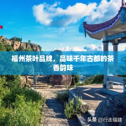 福州茶叶品牌，品味千年古都的茶香韵味