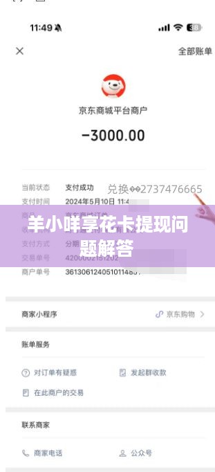 羊小咩享花卡提现问题解答