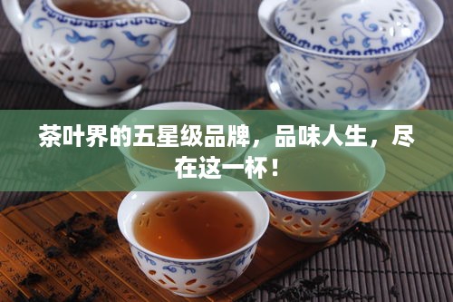 茶叶界的五星级品牌，品味人生，尽在这一杯！