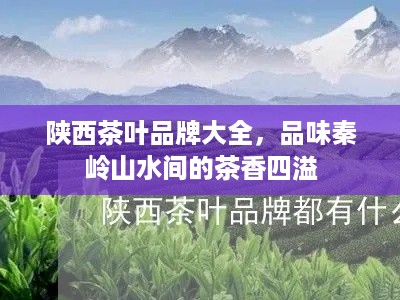 陕西茶叶品牌大全，品味秦岭山水间的茶香四溢